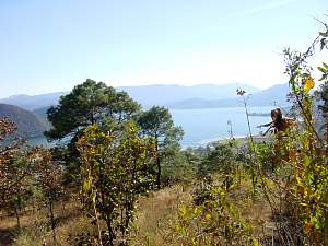 DSC02341 Valle de Bravo.jpg